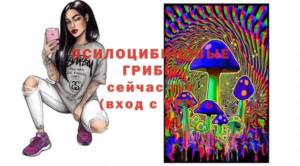 синтетический гашиш Алексин