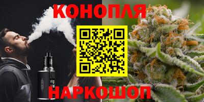 стафф Пенза