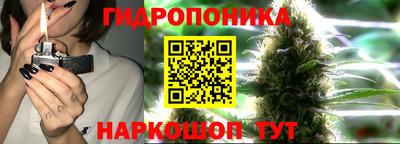 стафф Пенза