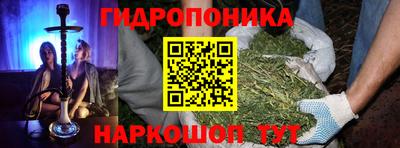 стафф Пенза