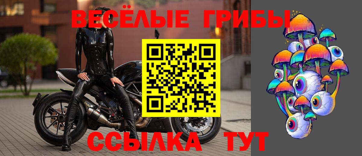 Псилоцибиновые грибы Cubensis Симферополь